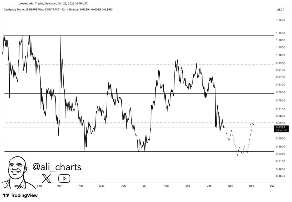 Cardano Price Prediction: 15% Drop to $0.54 Could Form Major Buy Zone 1 image 82