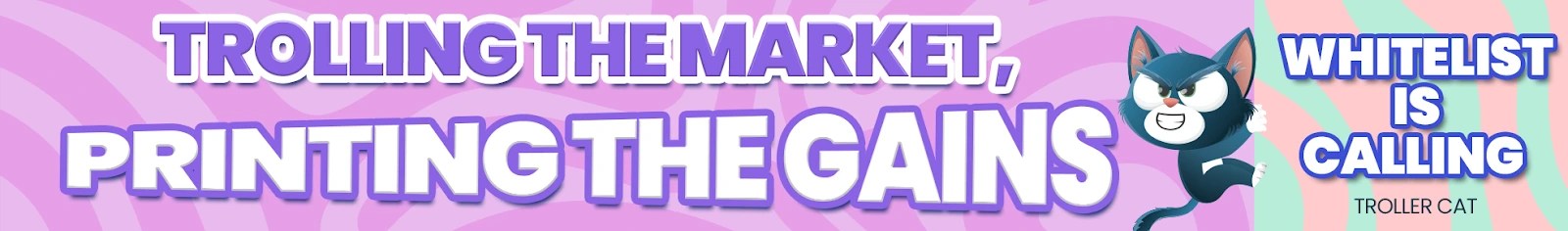 troller cat on pink background