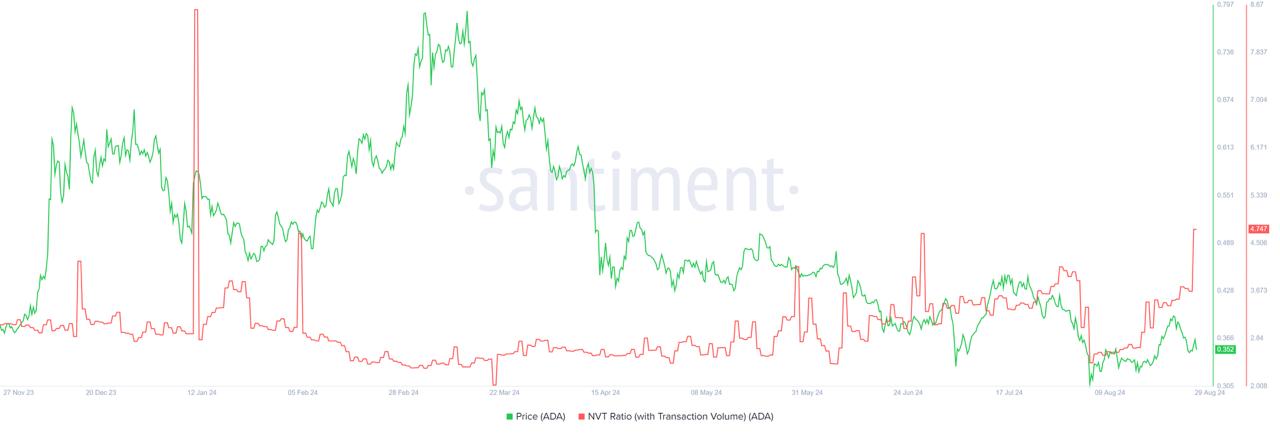 Network Value to Transactions (NVT) ratio