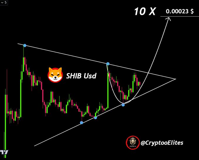Is Shiba Inu Price Gearing Up For a 10X Rally in Q1?