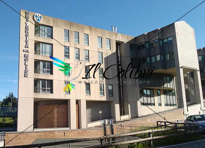 Unimol. Scienze Della Formazione Primaria, Due Giorni Per Iscriversi. 290 Posti Disponibili | Il Colibrì 500_x_690_jpg