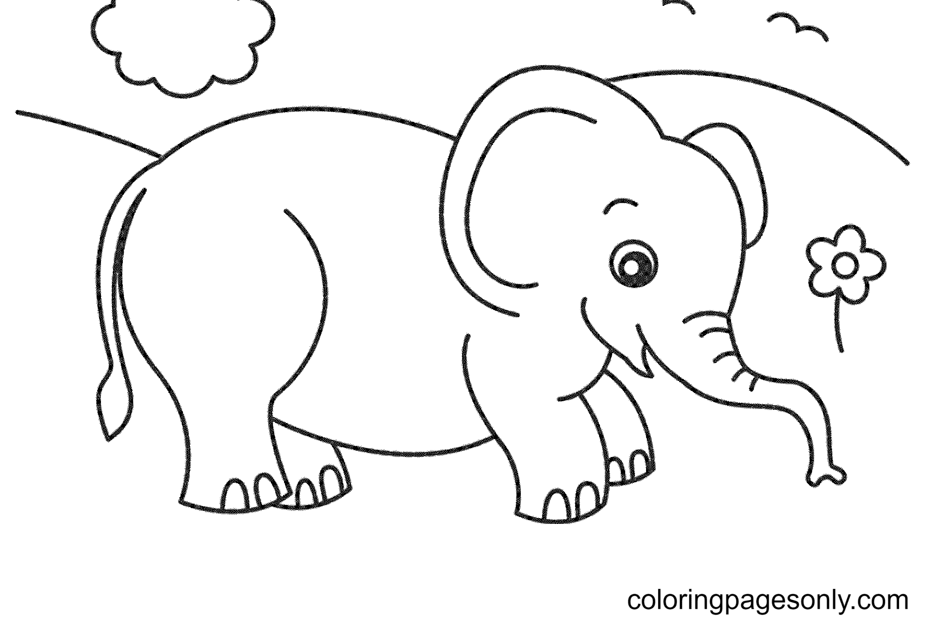 Elephant Animal Coloring Pages - Elephant Coloring Pages - Coloring Pages For Kids And Adults 1276_X_1920_png