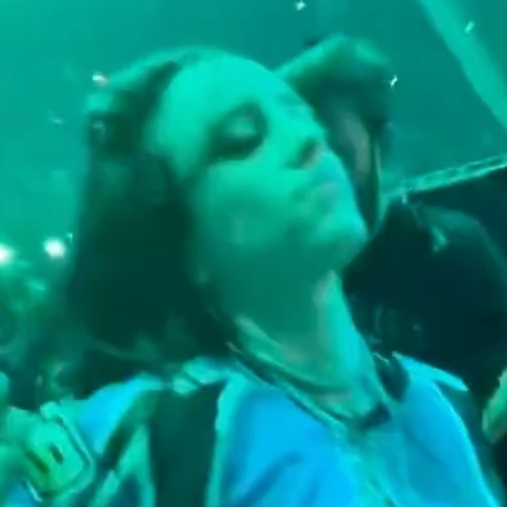 Billie Eilish Violently Grabbed By Fan at Barricade During Concert