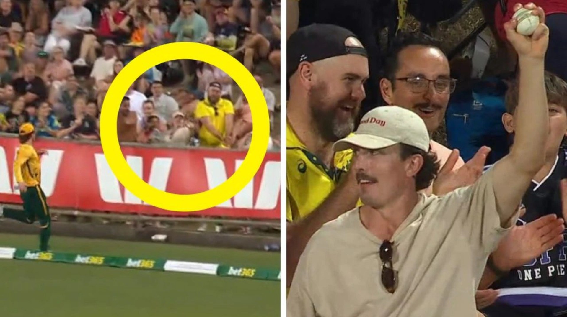 Australia vs South Africa first T20; Greatest crowd catch ever seen, video