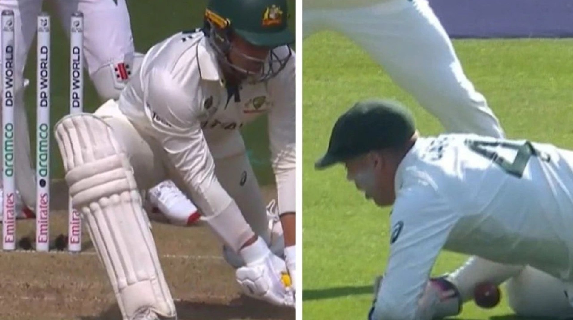 Alex Carey dropped catch video, Mitchell Starc, Australia vs South Africa scorecard, highlights