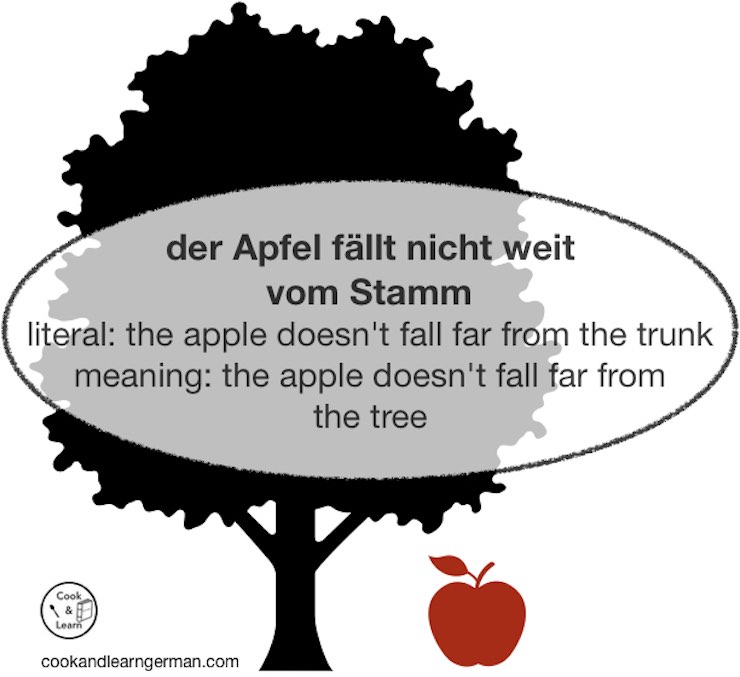 Redewendungen/Expressions – Cook And Learn German 677_x_740_jpg