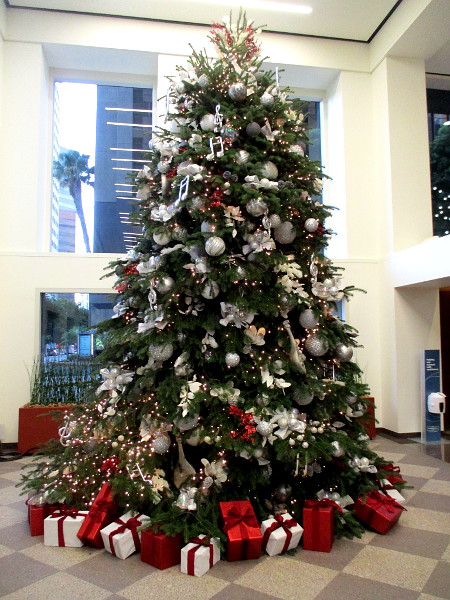 Christmas Trees Page 2 Cool San Diego Sights