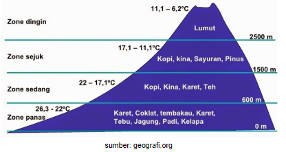 Diah tinggal di Desa Argosari dia memiliki usaha s&hellip;