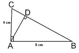 Perhatikan gambar berikut. Panjang AD adalah …