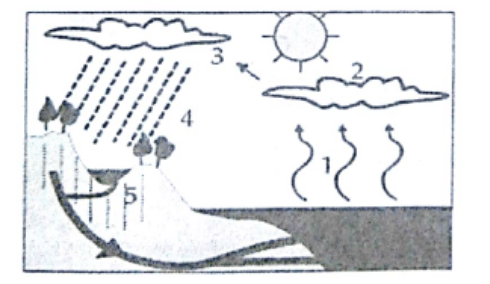 Tahapan daur air yang ditunjukkan oleh nomer 3 dis&hellip;