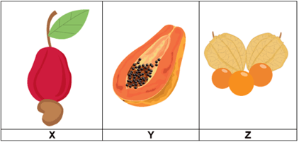 Perhatikan gambar berikut ini! Pernyataan yang &hellip;