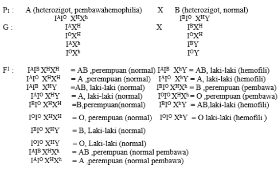 Seorang ibu hamil memiliki golongan darah A hetero&hellip;
