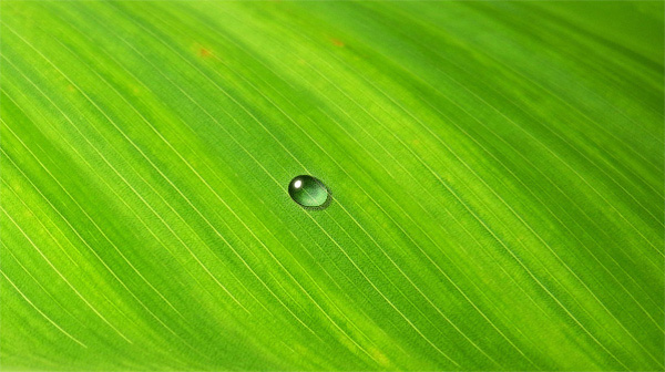 как рисовать воду в диджитале