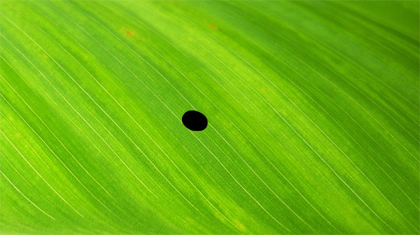 как рисовать воду в диджитале