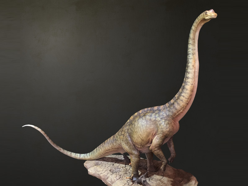 Argentinosaurus Crecy Models