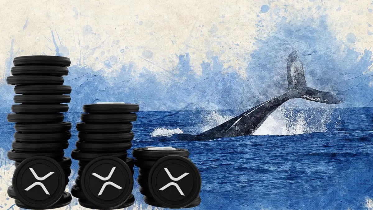 Les baleines ont acheté 150 millions de dollars en XRP après le positivisme avec l'ETF Les baleines ont acheté 150 millions de dollars en XRP après le positivisme avec l'ETF