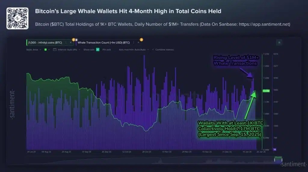 achats et accumulation de BTC auprès des baleines Bitcoin.