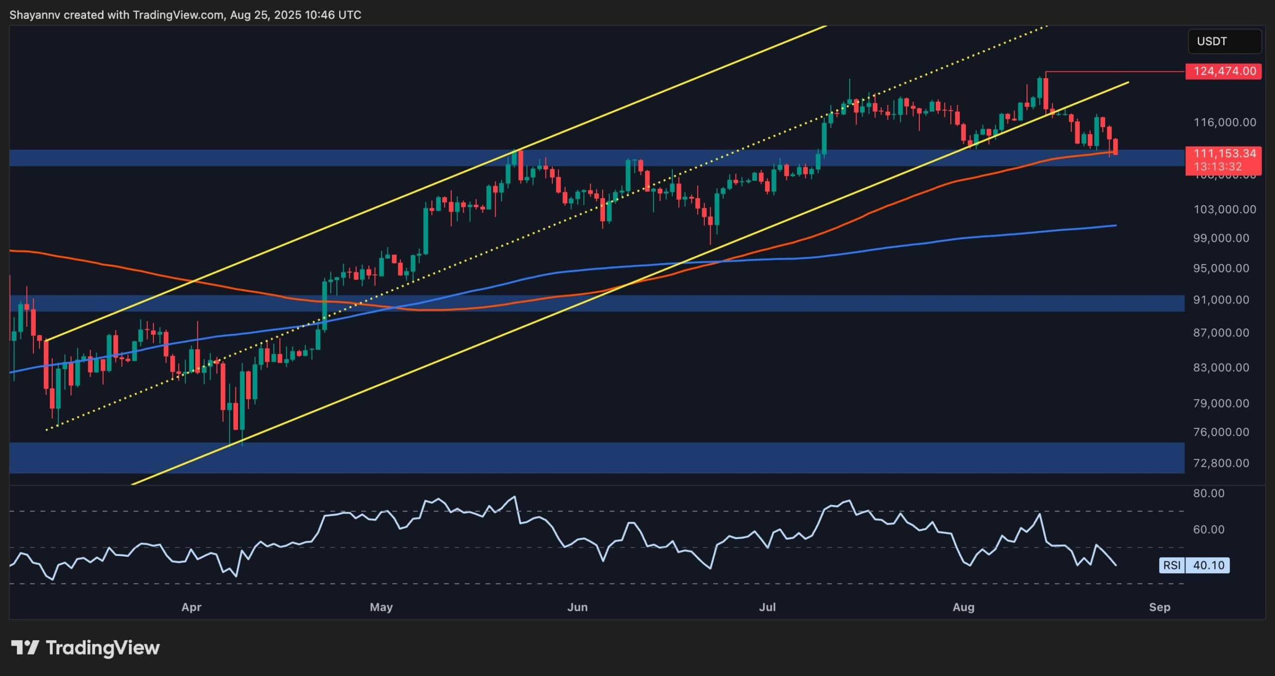 BTC at Critical Point for Bull Run Continuation