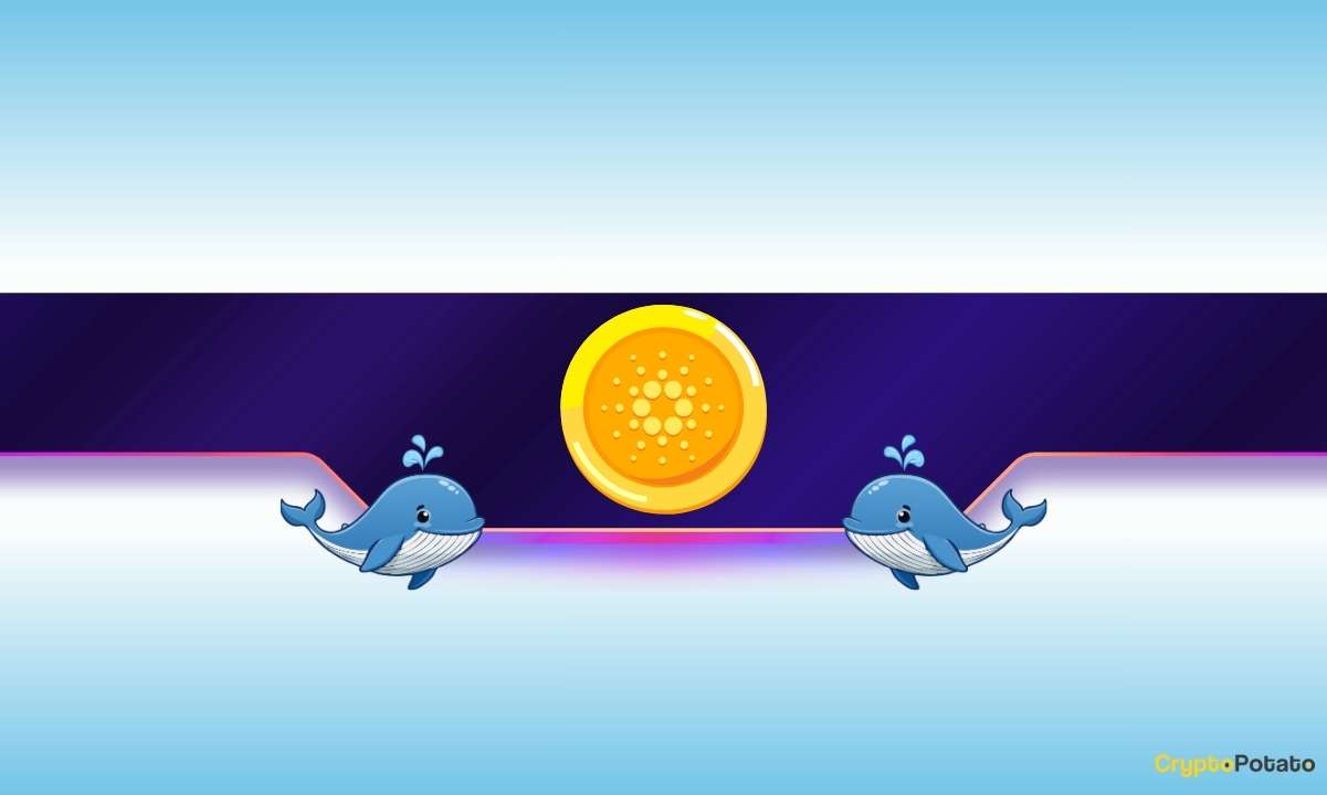 Is Cardano on the Verge of a Further Dump?