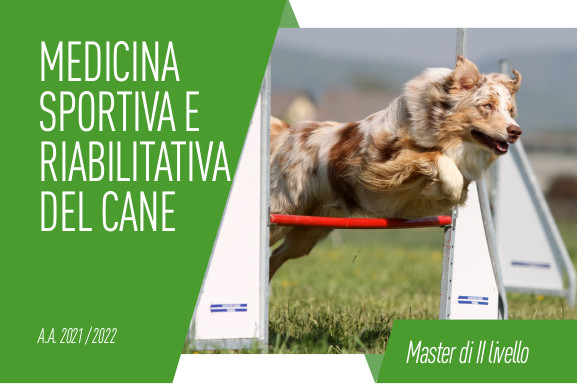 Corsi & Formazione – Csen Provinciale Ravenna 385_x_577_jpg