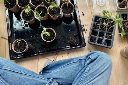 The Joy of Being a Beginner