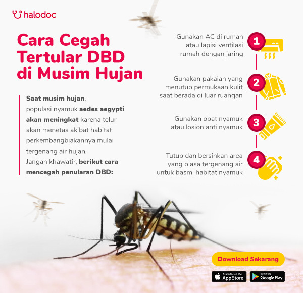 Waspada, Ini Penyebab Demam Berdarah Dengue Terjadi di Musim Hujan