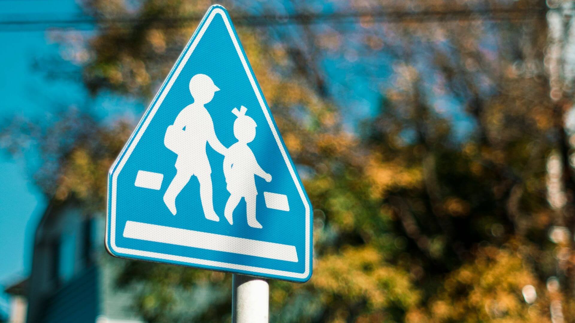 le linee guida del Ministero