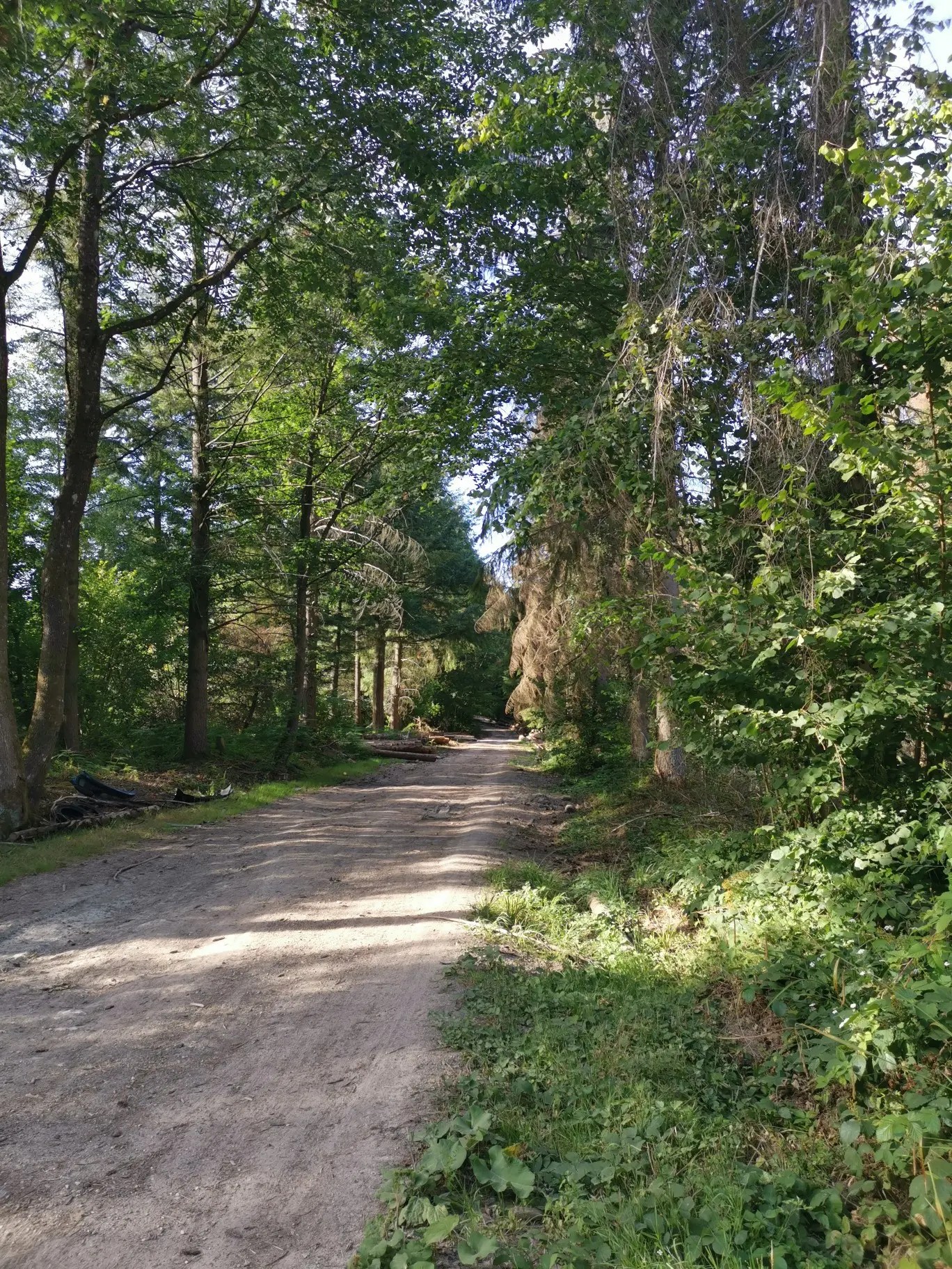 Top 8 rando VTT et circuits dans la Montagne de Reims - itinéraires idées |  Komoot