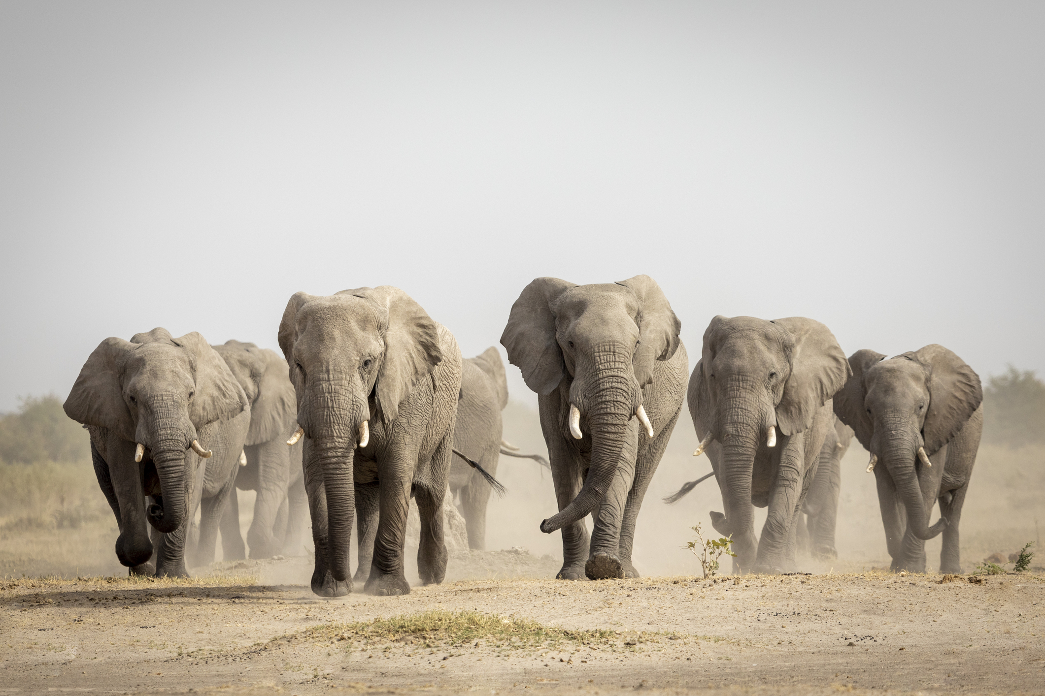 Budget Travel in Africa: How to Explore the Continent on a Shoestring