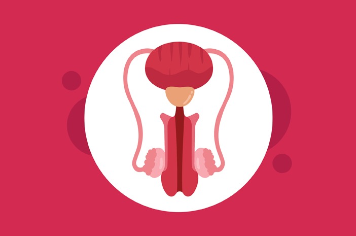 Pria Perlu Tahu, Prostatitis Menular atau Tidak