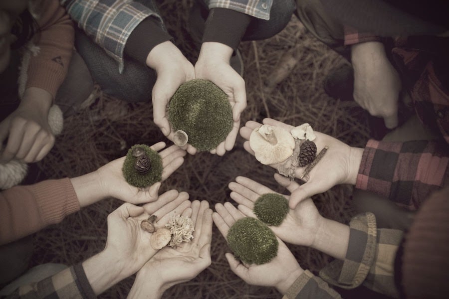 Evanston Made S Art For The Earth Event Showcases Nature Art