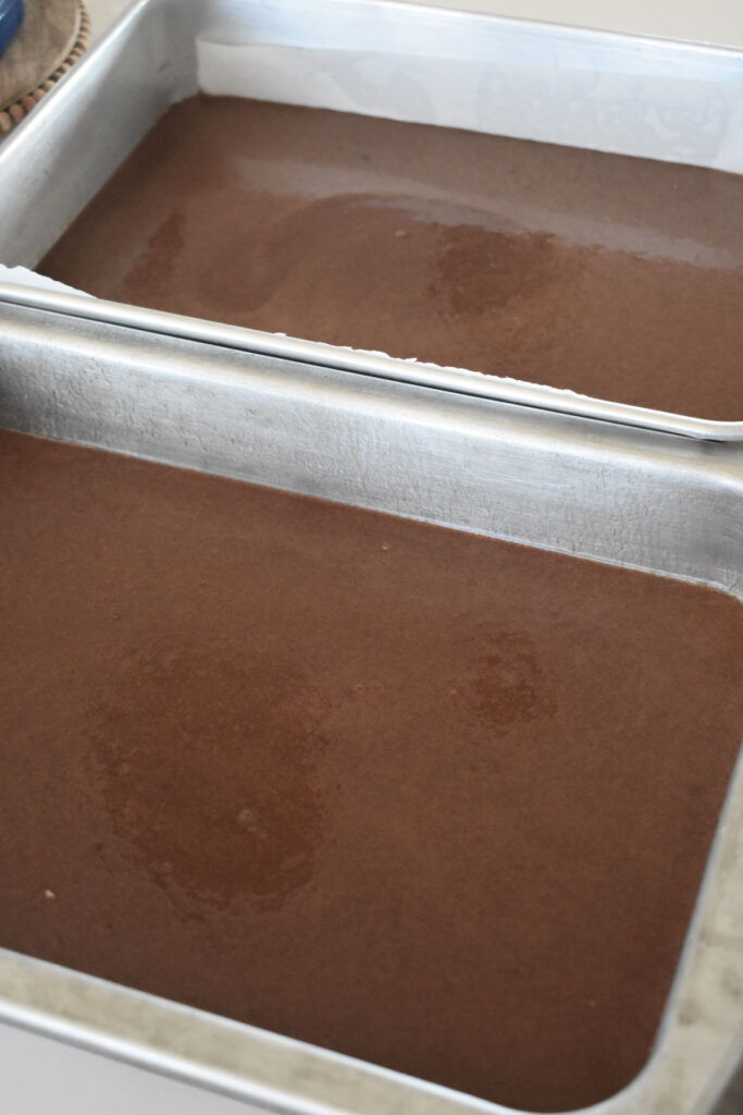 Cake batter in two 9x13 inch pans.
