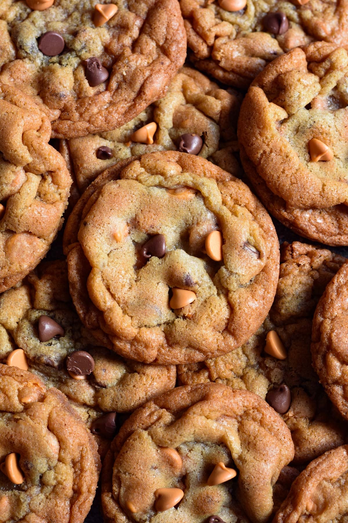 Butterscotch Chocolate Chip Cookies - Dance Around the Kitchen