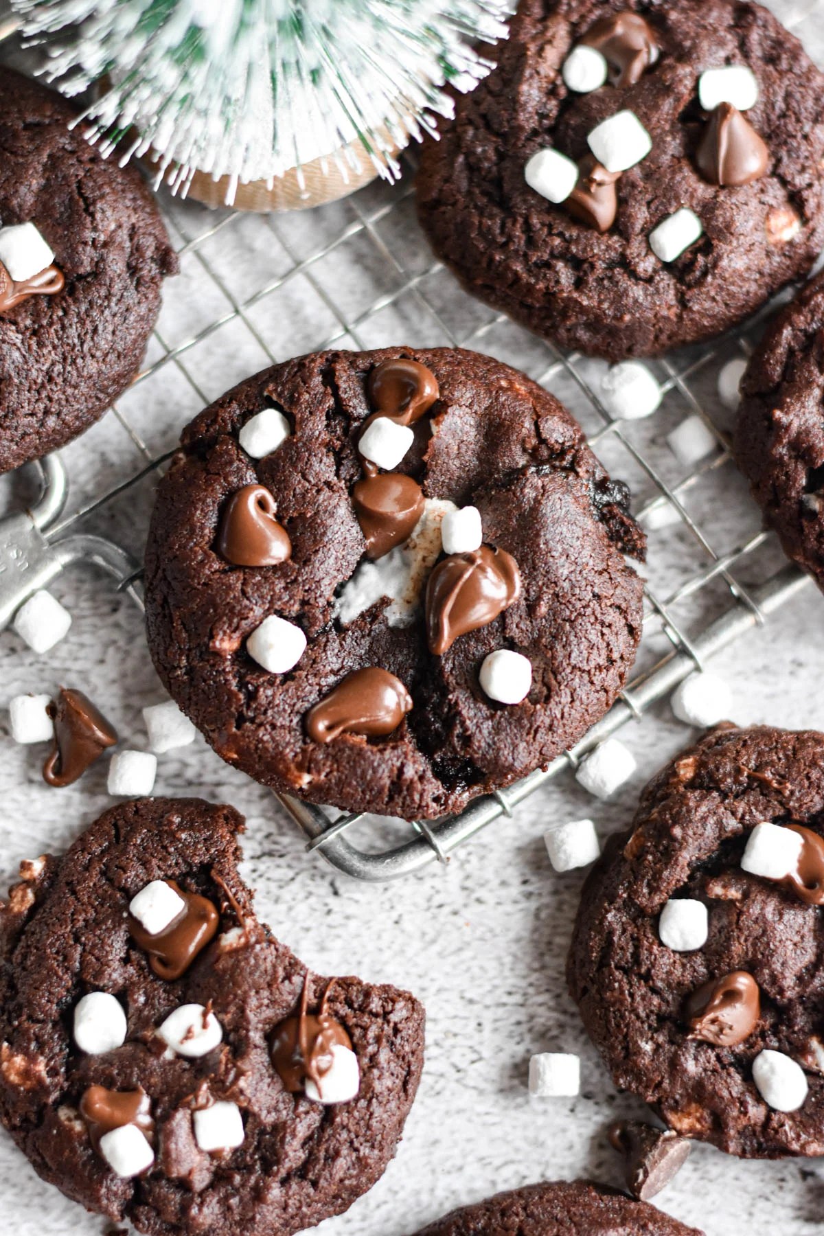 Hot Chocolate Cookies - Dance Around the Kitchen
