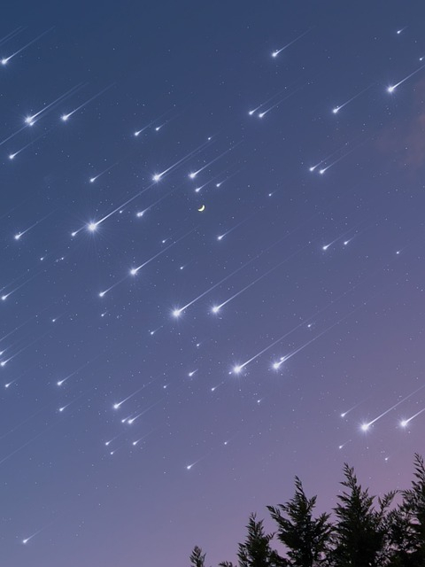 Ursid Meteor Shower to Light Up 2025 Skies in Final Celestial Display of the Year