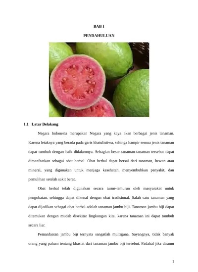 Klasifikasi Tanaman Jambu Biji