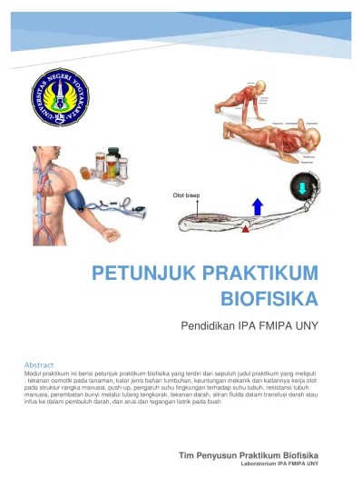 Top PDF apa yang dapat kamu simpulkan mengenai proses bunyi hingga terdengar  oleh telinga kita - 123dok.com