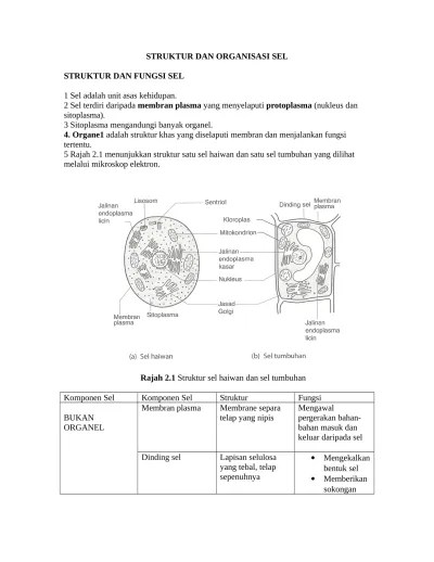 Top PDF STRUKTUR DAN ORGANISASI SEL .doc - 123dok.com