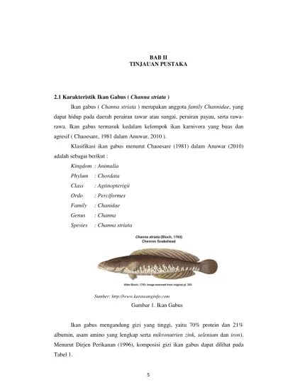 BAB II TINJAUAN PUSTAKA 2.1 Karakteristik Ikan Gabus ( Channa striata ) -  PENGARUH KONSENTRASI NaCl DAN WAKTU PENCAMPURAN α-CASEIN PADA GELATIN DARI  TULANG IKAN GABUS ( CHANNA STRIATA ) - POLSRI REPOSITORY
