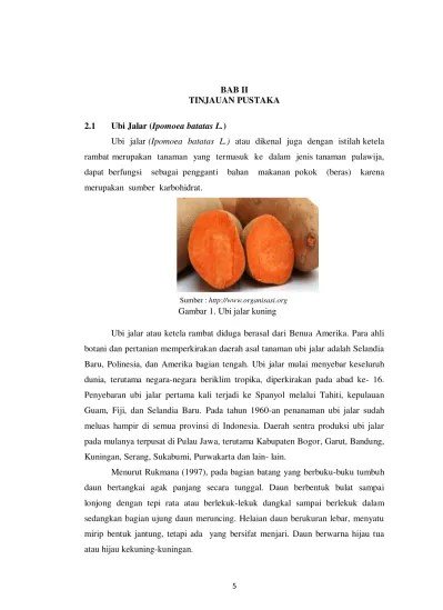 9 BAB II TINJAUAN PUSTAKA 2.1 Landasan Teori 2.1.1 Klasifikasi Ubi Jalar