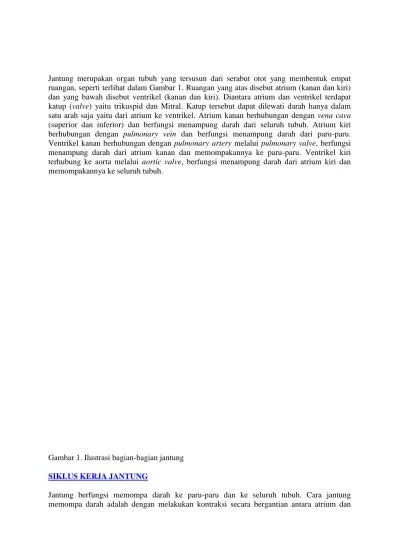 Sistem Konduksi Jantung