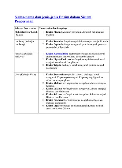 Enzim pencernaan
