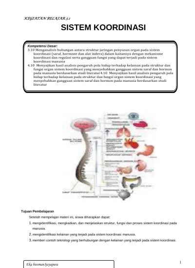 8.RPP Sistem Koordinasi Manusia