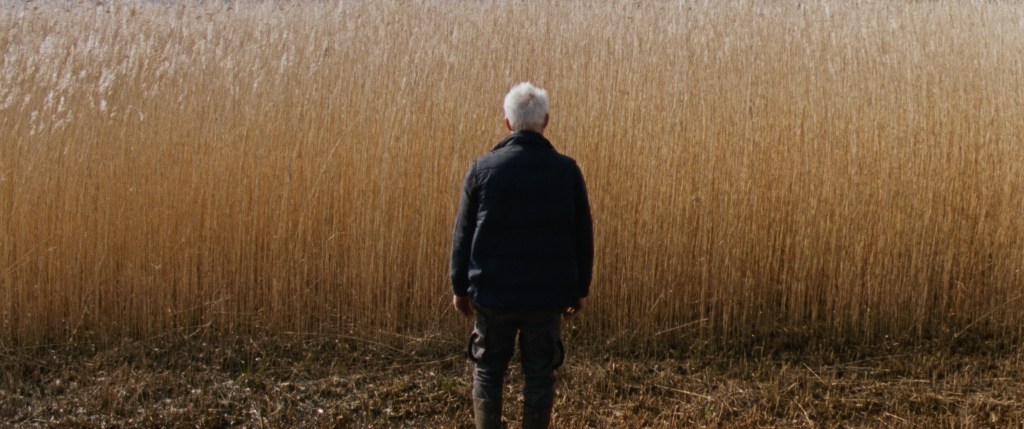 The Party Film Sales Boards Cannes Critics’ Week Title ‘Reedland’ As Drama Breaks Hiatus For Dutch-Language Features On Croisette