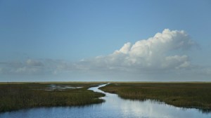Fourth Act Film And Grasshopper Film To Handle U.S. Distribution Of ‘River Of Grass,’ Luminous Journey Through Florida Everglades