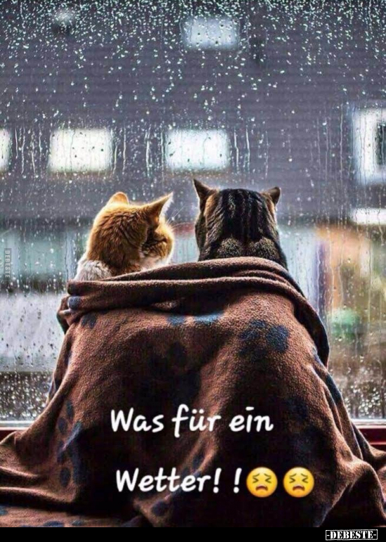 Was Für Ein An Wetter!.. - Debeste.de 771_x_550_jpg