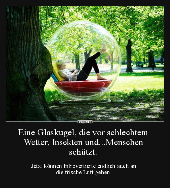 Eine Glaskugel, Die Vor Schlechtem Wetter, Insekten.. | Lustige Bilder, Sprüche, Witze, Echt Lustig 656_x_592_jpg