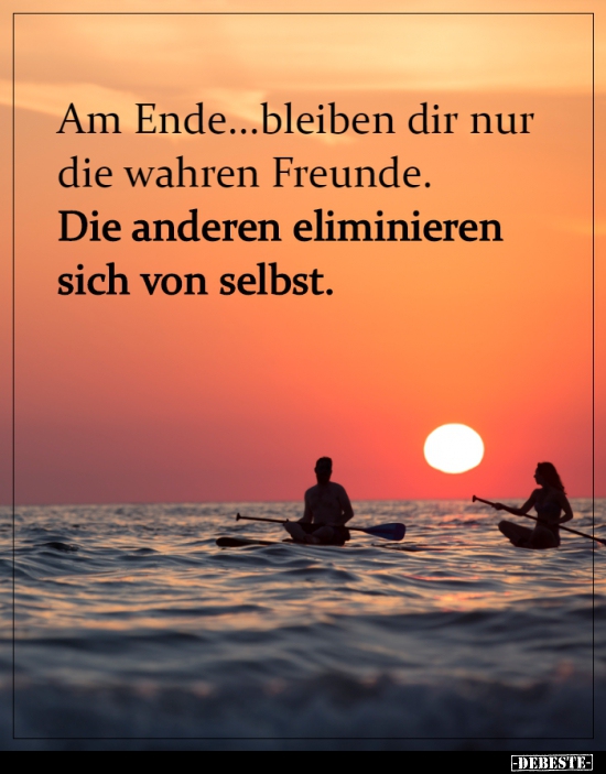 Am Ende Bleiben Dir Nur Die Wahren Freunde Lustige Bilder Spruche Witze Echt Lustig