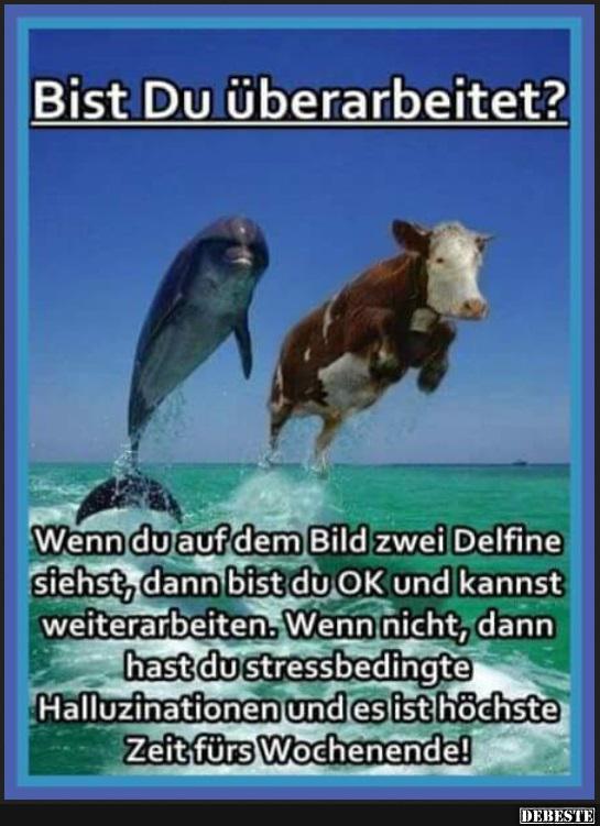 Bist Du überarbeitet? | Lustige Bilder, Sprüche, Witze, echt lustig