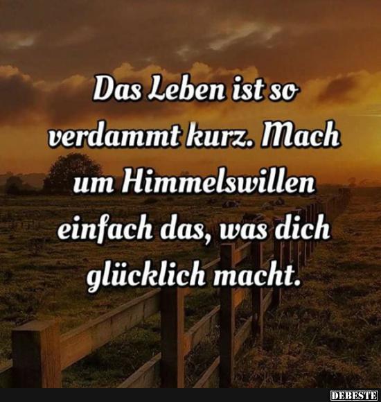 Das Leben ist so verdammt kurz.. | Lustige Bilder, Sprüche, Witze, echt lustig